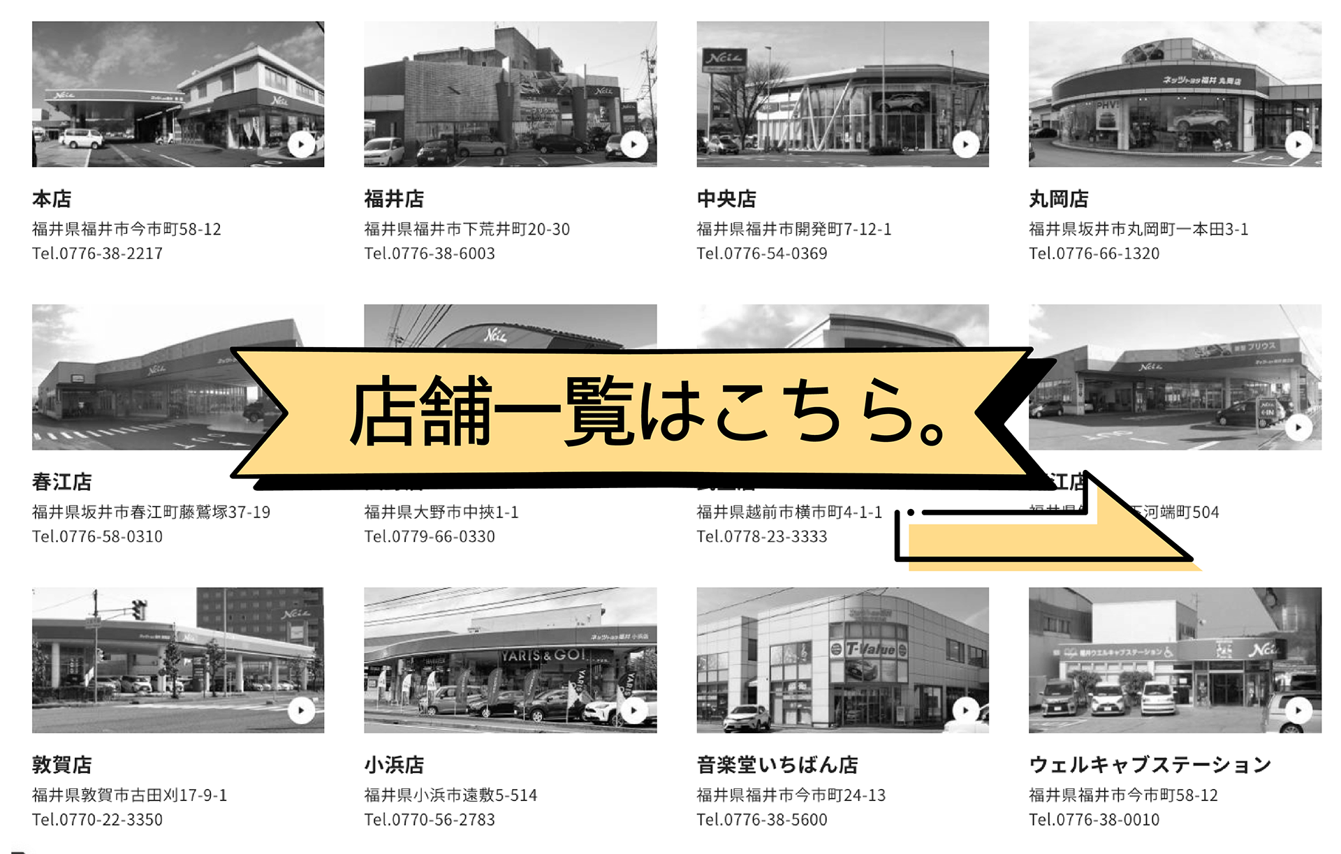 ネッツトヨタ福井　各店舗一覧トヨタ正規代理店　トヨタ正規販売店　ディーラー　福井　トヨタ